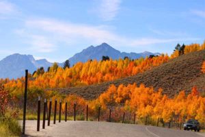 Jackson Hole Bed and Breakfast