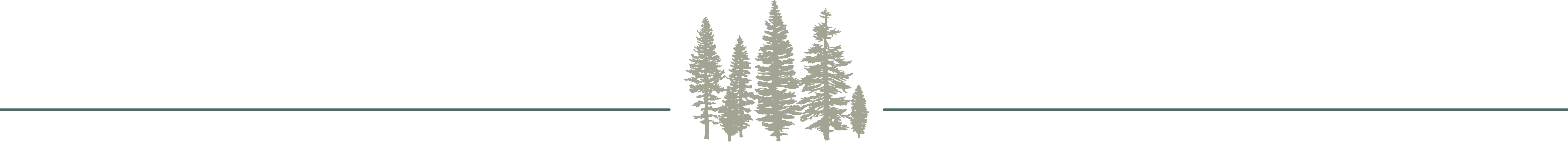 Jackson Hole Hideout Tree