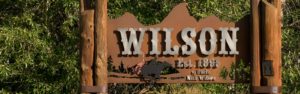 Wilson town sign