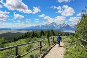 jackson hole bed and breakfast