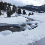 bed-and-breakfast-jackson-hole-our-adventures-Granite-Creek-animal-and-snowmobile-tracks