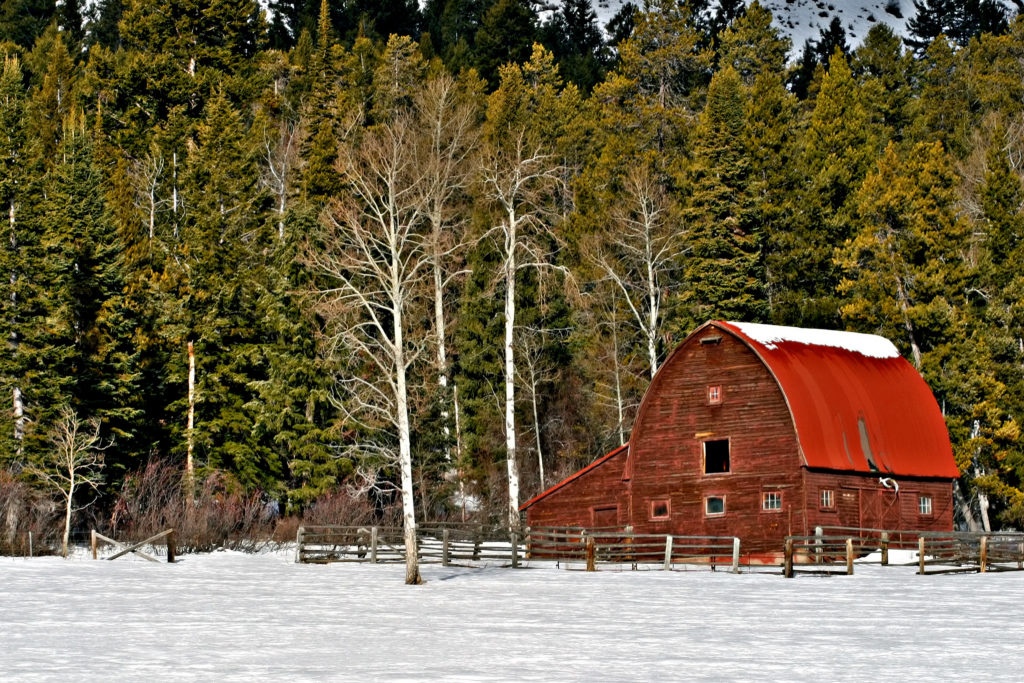red barn in snow - wilson wyoming