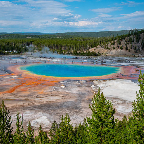 jackson hole bed and breakfast