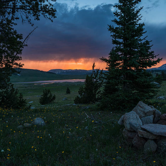 jackson hole bed and breakfast