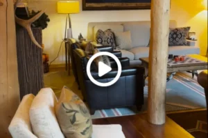 video-living-room-bed and breakfast jackson hole
